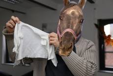 Vatin macht das schon!