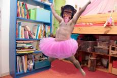 lausitzDADDY trifft Siri