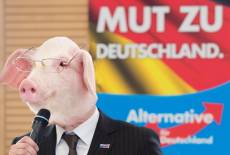 Der Wahlkampf der Kleinen