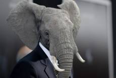 Sind alle Singles unglücklich?