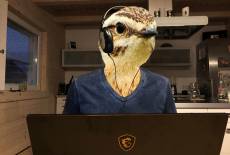 lausitzDADDY 05/2019