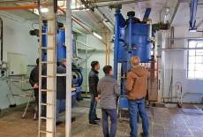 Gold für Gaumen und Gesundheit