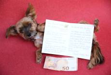 Danke für ein Danke: eine Emotion, die inspiriert