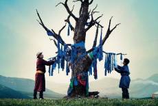 Die Adern der Welt – eine Lausitzer Parallele!