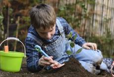 Auf den grünen Zweig kommen