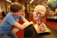 Die Anatomieausstellung  im PLASTINARIUM Guben