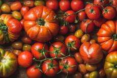 Fruchtiger Herbstmarkt