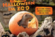 Herbstferien und Halloween-Spektakel im Zoo Dresden