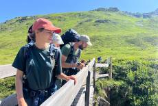 Mit Baby unterwegs in den Bergen – getragen und behütet