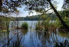 Naturpark Schlaubetal: Rund um den Kleinsee