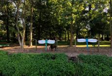 Spreewald: Zwischen Kunst und Libellen