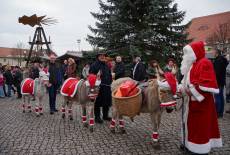 Familienzauber und Kinderlachen in Großräschen