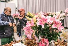 Gartenträume in Cottbus