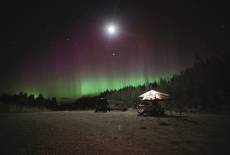 Zwischen Polarlichtern und Rentieren