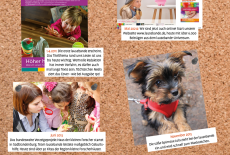 Die Zwei-Helden-Firmenstory