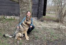 „Der Wolf ist ein ganz normales Wildtier“