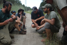 Wenn der Wald anfängt zu erzählen 