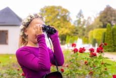 Volle Ladung Kultur in Sicht