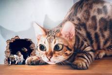 Nur noch kurze Zeit: 3D-Fotoausstellung „Illusionswelt“