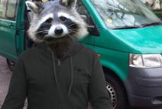 Lebende Vier-Jahreszeiten-Pizza